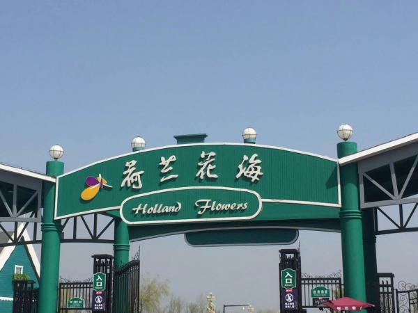 大丰荷兰花海.jpg